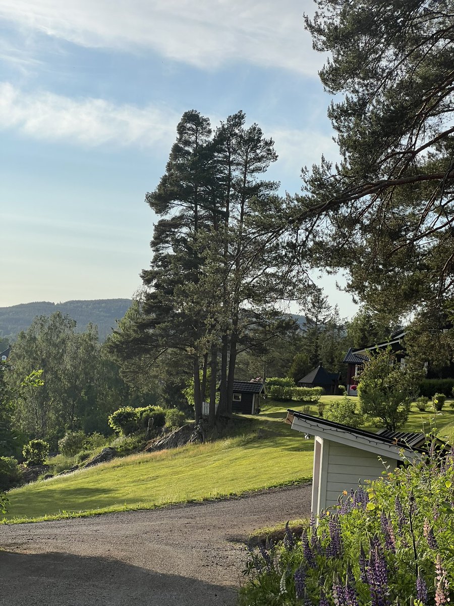 Bieordinary22's tweet image. Norwegian one 🫣
หนมค่ะ รักบ้าน(ไม่ได้)เกิด55555