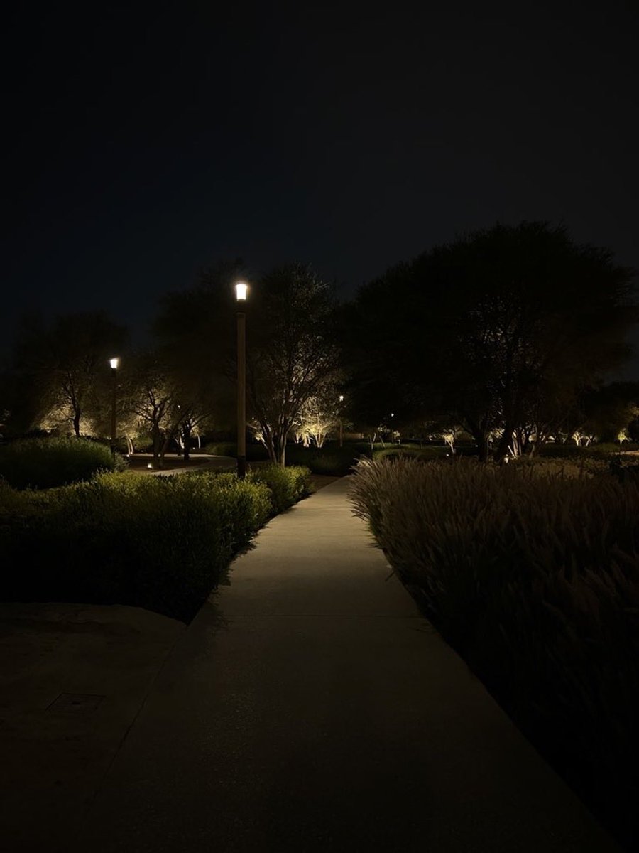 المشي هو الملاذ الآمن للعالقين بين الحلم و الواقع.