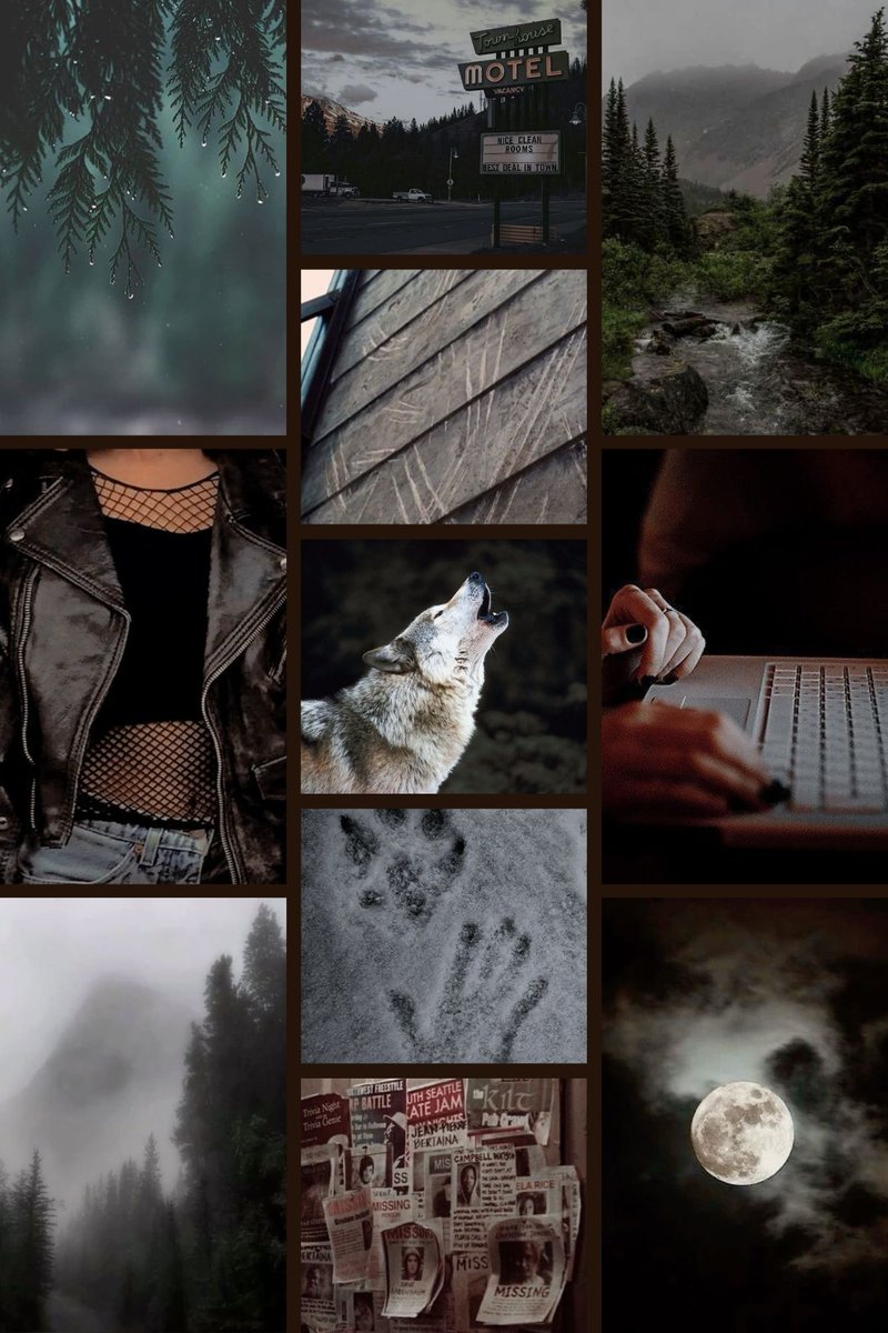 🌲Spooky mountainside town
👀forced proximity
🌲missing hikers
👀Sapphic
🌲suspicious locals
👀An adorable dog
🌲Monstrous legends
#Ownvoice Queer, Indigenous, and autistic rep
#questpit #A #AG #H #R