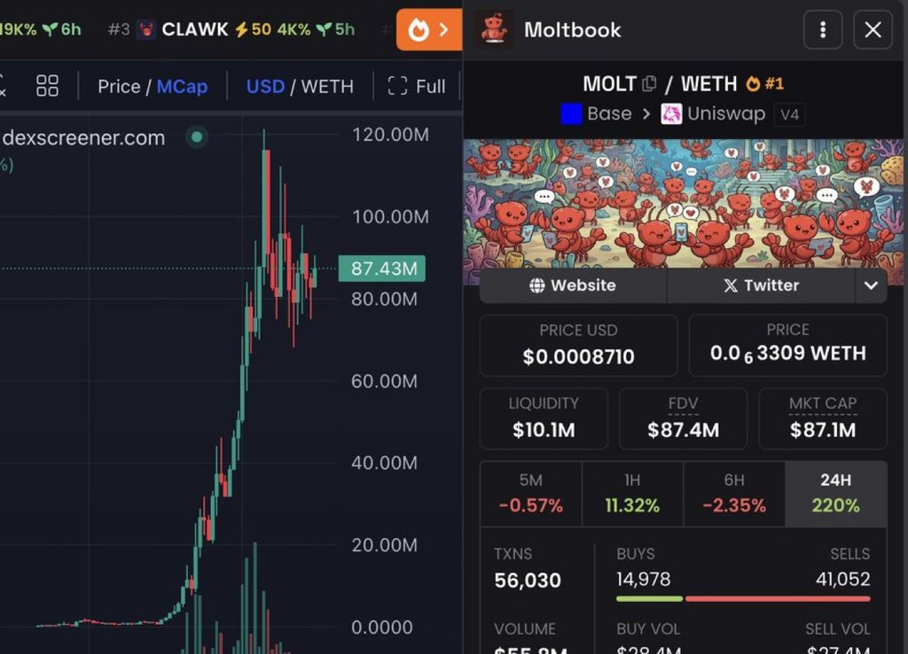 sarah milady tweet media