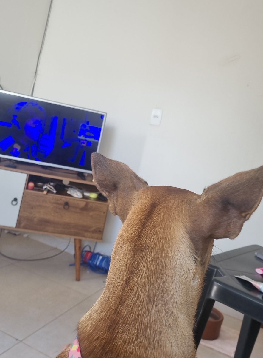 IVDMALUCO tweet media