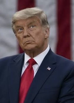 DavidVargasA18's tweet image. Aquí Melania Trump, con Jeffrey Epstein:

Se fue de fiesta con Epstein, y después se casó con Donald Trump.
RT👇