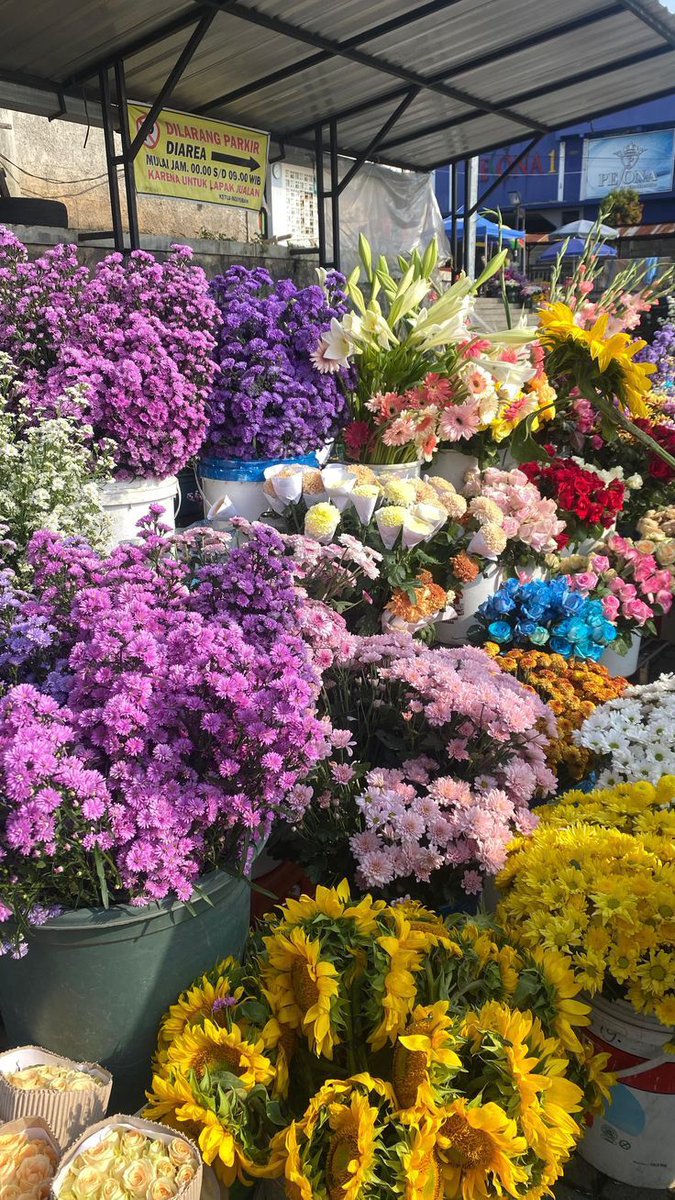 buchkets's tweet image. Hi hi #zonauang masuk bantu ?