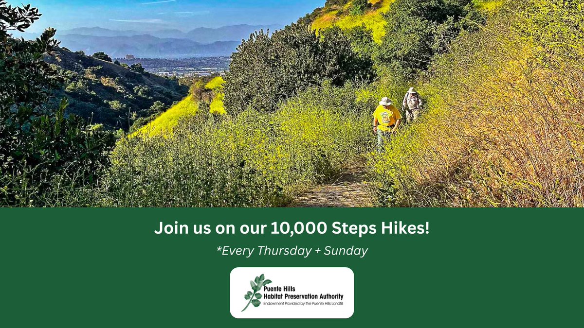 Join us for our 10,000 Step Hikes!
📅 When: Every Thursday and Sunday 
🕔 Time: 3:00 p.m. 
📍Where: Fullerton Rd entrance to Black Walnut Trail 
Learn more by visiting our Meetup page: loom.ly/SHjRtN0