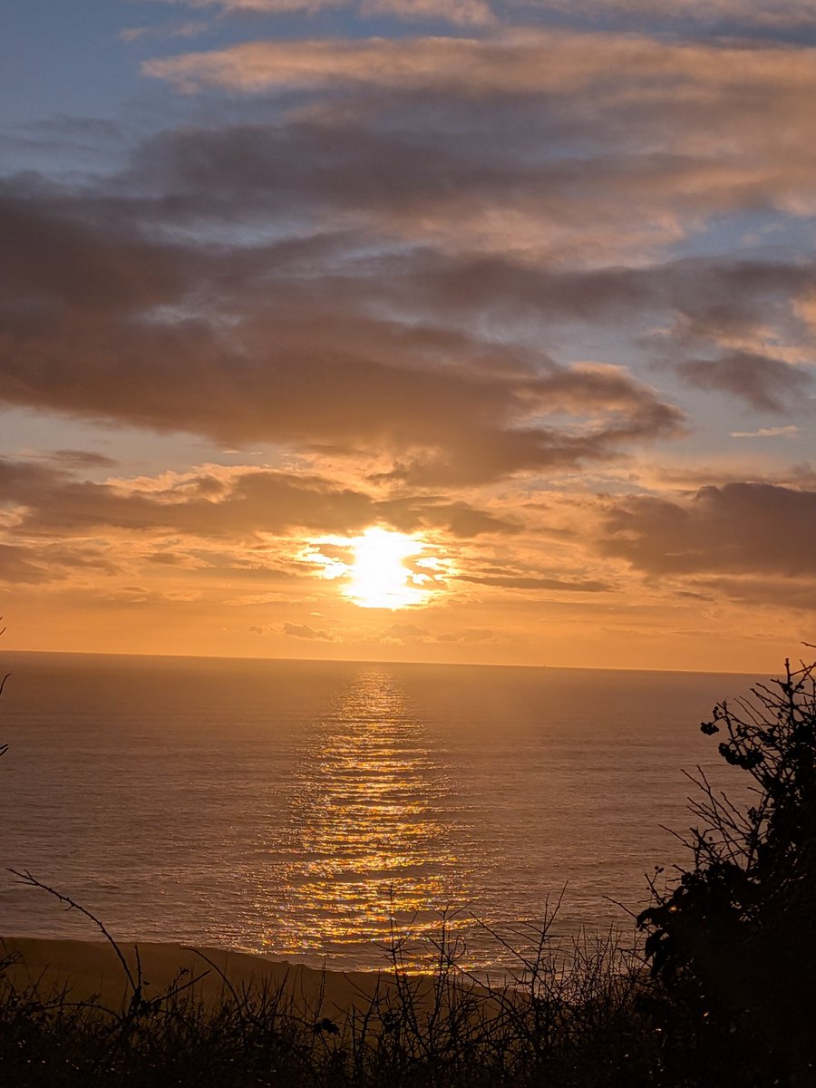 Room with a view....