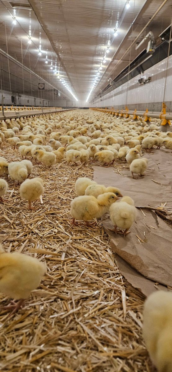 Jeremy Prinzen tweet media