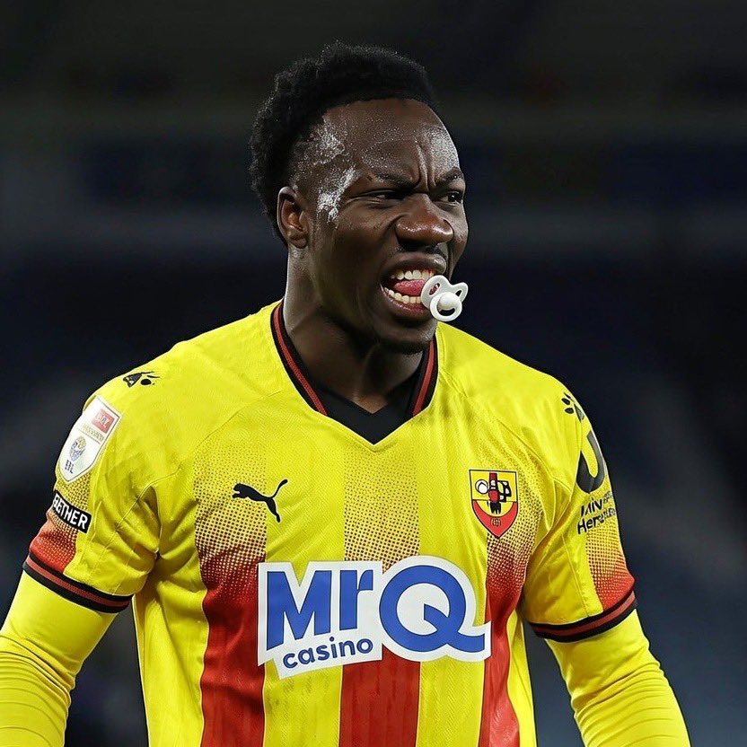 Only Swans tweet media