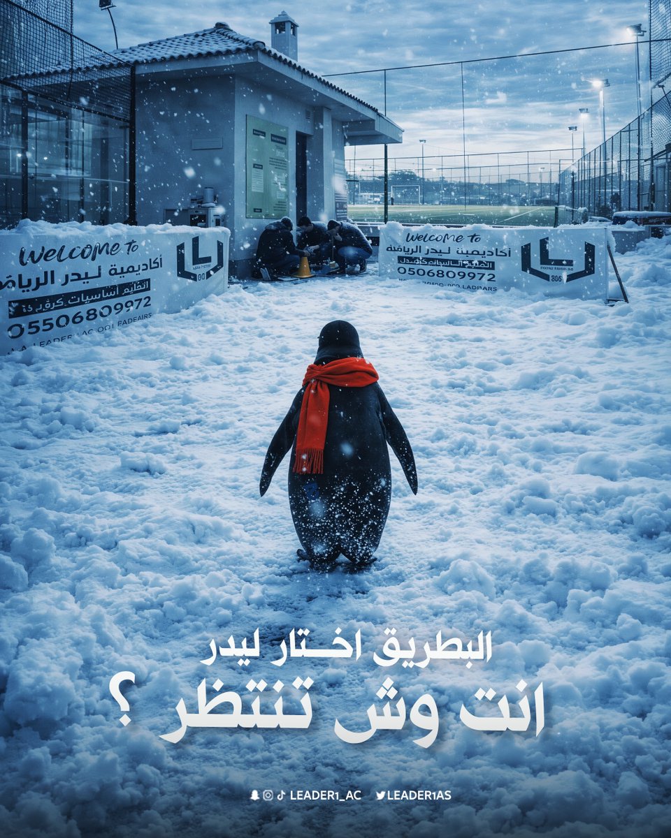 ما ضيّع طريقه 🐧 ❄️
لأن طموحاته أكبر، البطريق اختار وجهته الصحيحة ✅