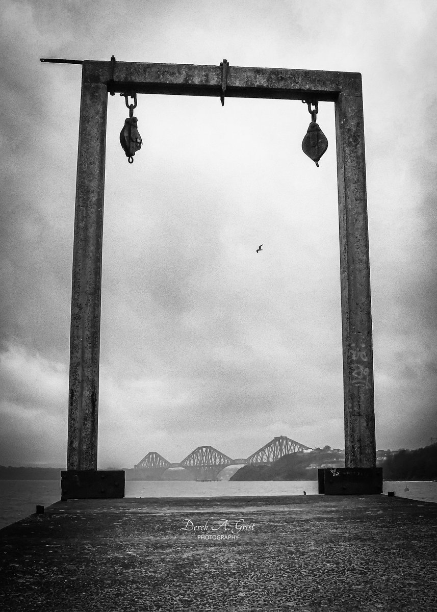 DerekAGrist tweet media