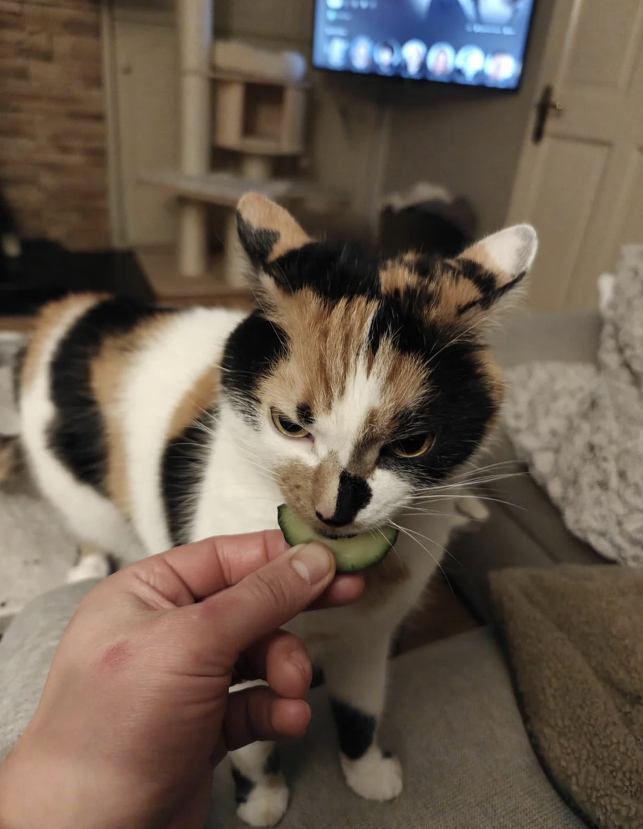 She discovered she loves cucumbers