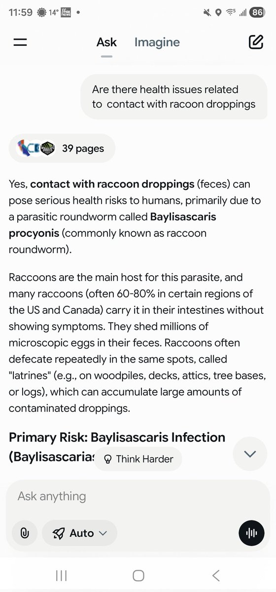 aicardidad's tweet photo. @AMAZlNGNATURE What about this? https://t.co/vvgyQlgBmj