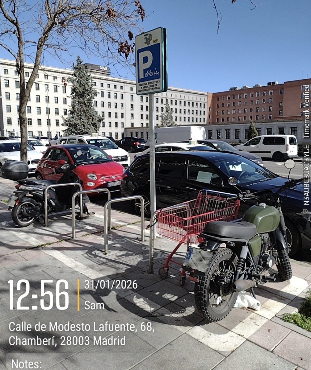 AV 'El Organillo' tweet media