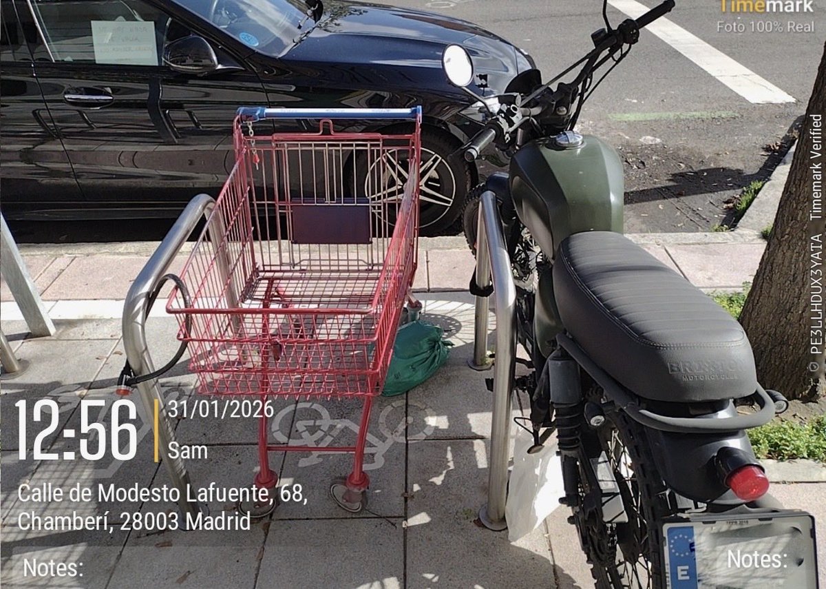 AV 'El Organillo' tweet media