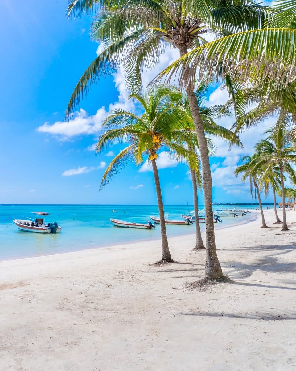 Ese momento en el que el mar calma los pensamientos y la naturaleza nos invita a respirar con más tranquilidad es justo lo que necesitamos para recuperar el equilibrio 🌊.
 
Con este gran paisaje de Akumal, les deseo un fin de semana lleno de descanso, buena energía y bendiciones