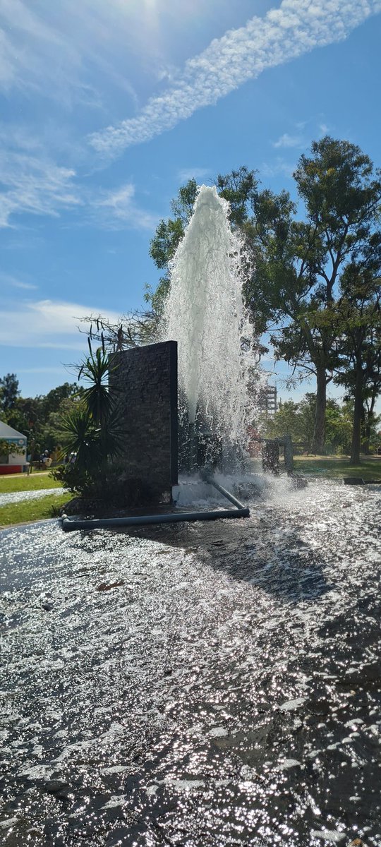 Rafael Canton tweet media