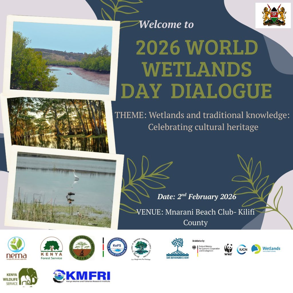 KellyRoberts Banda LLB tweet media