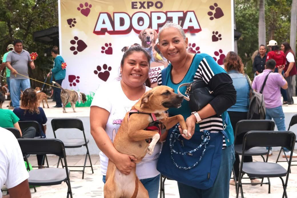 AyuntamientoVer's tweet photo. ¡6 peluditos ya tienen hogar! 🐾🏠

Gracias a la Expo Adopta en el Parque Zamora logramos adopciones responsables que cambian vidas.
Adopta de 9:00 a.m. a 3:00 p.m. en:

📍 CSA Reino Mágico.
📍 CSA Los Pinos.

📝Req: INE y comprobante. https://t.co/u6IaEzXOMl