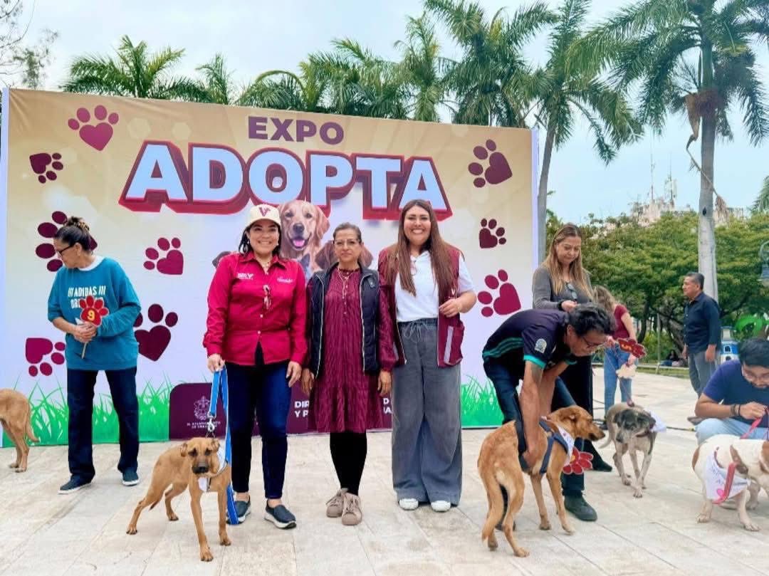 AyuntamientoVer's tweet photo. ¡6 peluditos ya tienen hogar! 🐾🏠

Gracias a la Expo Adopta en el Parque Zamora logramos adopciones responsables que cambian vidas.
Adopta de 9:00 a.m. a 3:00 p.m. en:

📍 CSA Reino Mágico.
📍 CSA Los Pinos.

📝Req: INE y comprobante. https://t.co/u6IaEzXOMl