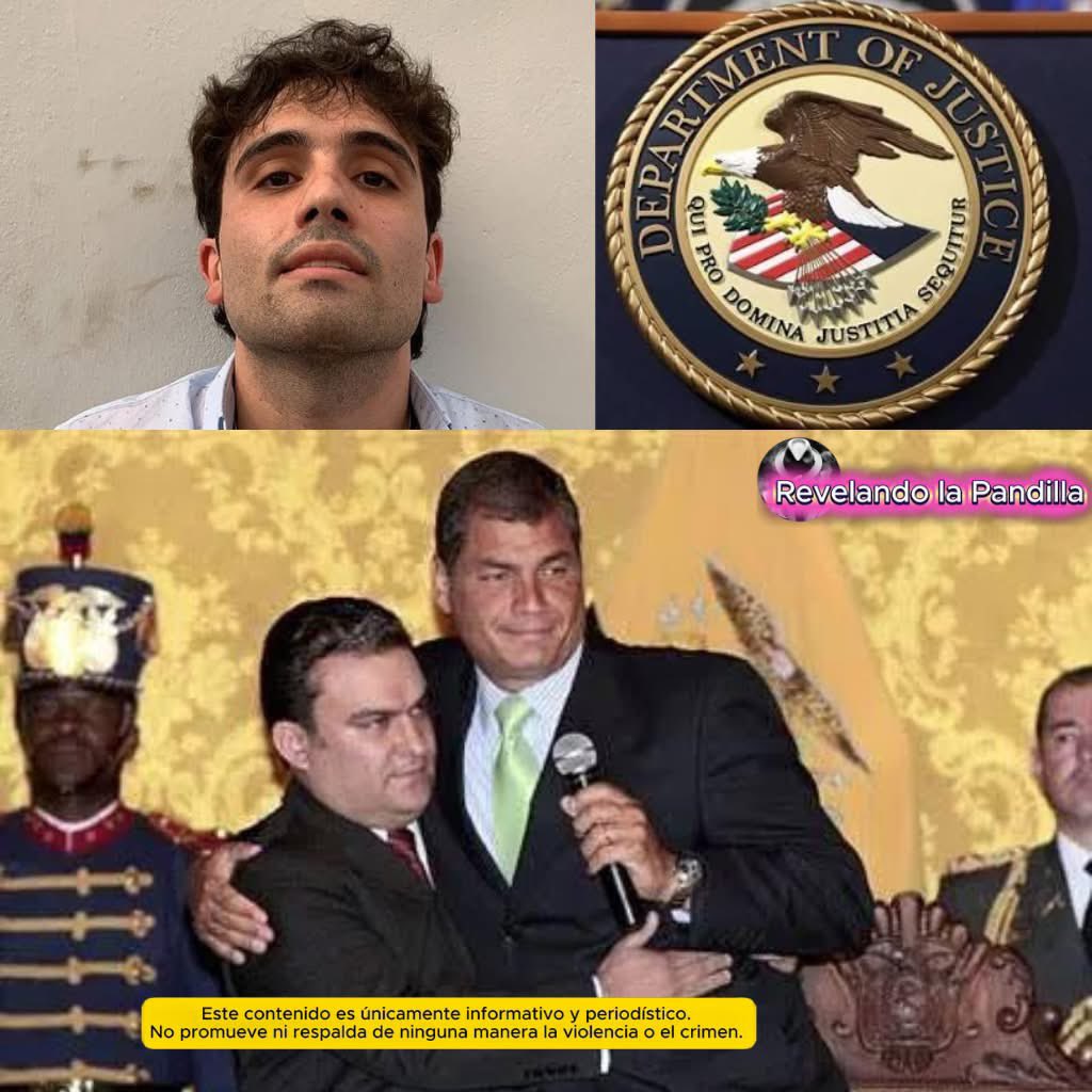 NewsDayMundo's tweet photo. 🚨 Ovidio Guzmán habría revelado ante la justicia de EE.UU. nexos entre el Cártel de Sinaloa y el gobierno de Rafael Correa (2009-2017). El "Ratón" asegura que operaron con total libertad en puertos y pistas de Ecuador. Se complica el panorama para el correísmo. 🇪🇨⚖️ #Ecuador #OvidioGuzman #RafaelCorrea