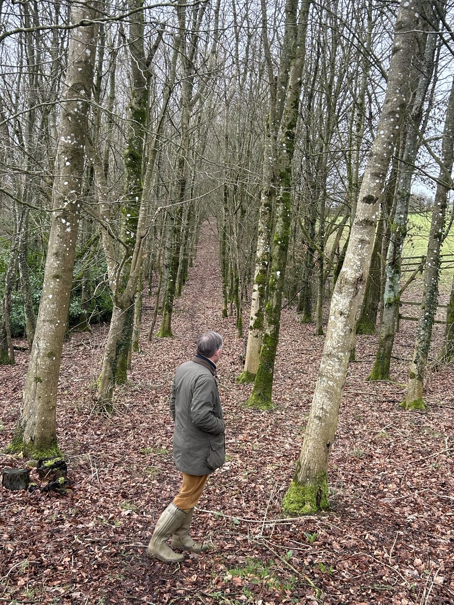 Rupert Lowe MP tweet media