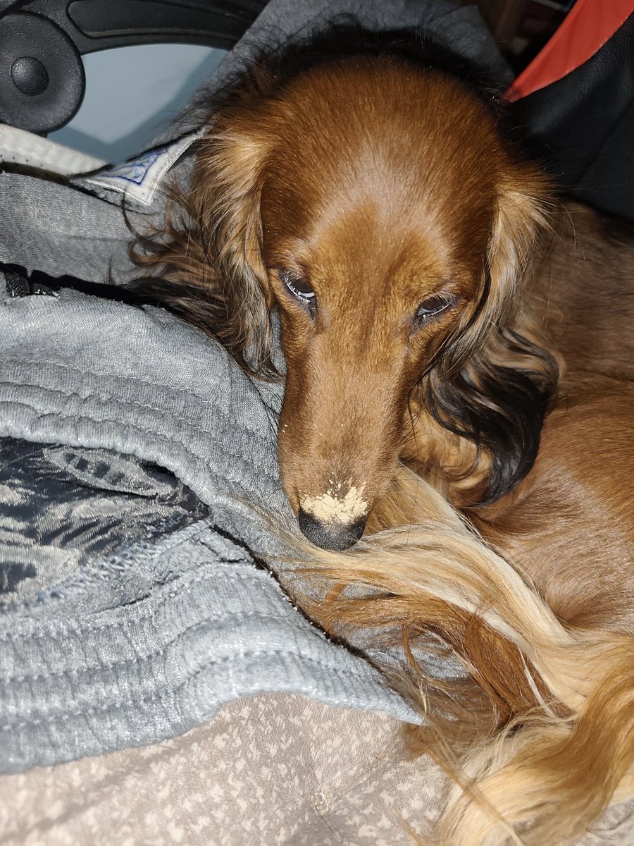 I takto môže vyzerať medzinárodná šampiónka krásy 🤣