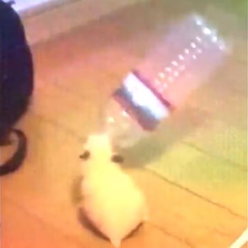 H¹ » UNFOLD 📎📄 tweet media