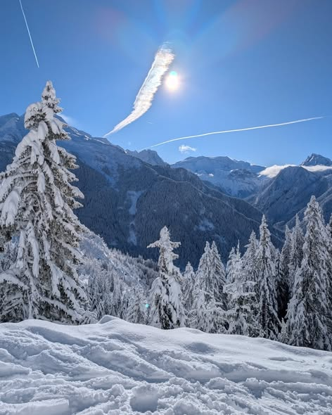 Parce que parfois, il n'y a rien à ajouter… juste à profiter❄️