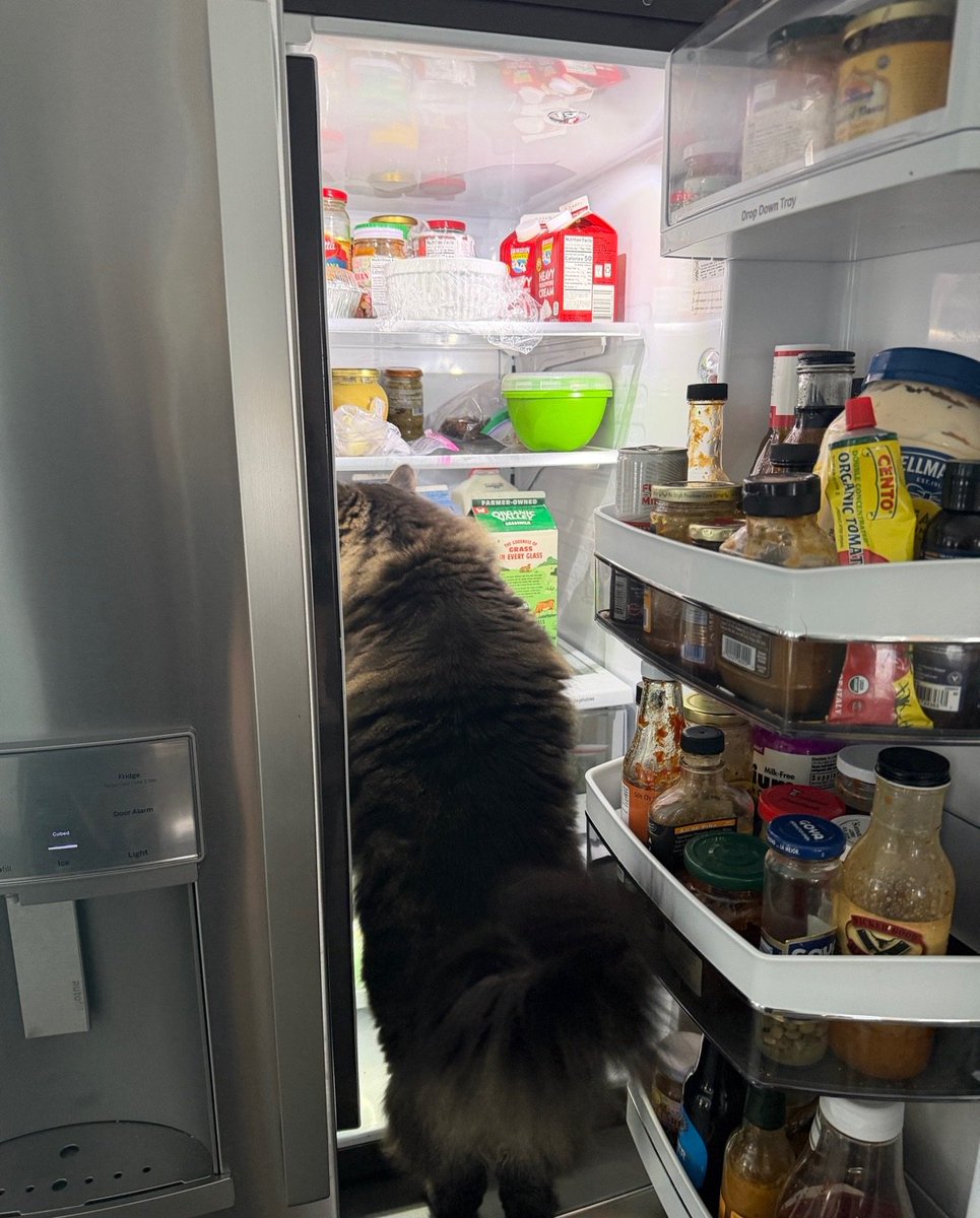 When you're on a diet but the fridge calls to you