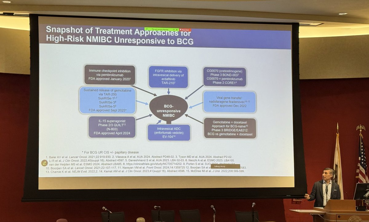 USC_Urology's tweet photo. Dr. Sia Daneshmand discusses management of high risk non-muscle-invasive bladder cancer. @siadaneshmand #practicalurology26 https://t.co/5wdsKSjDhD