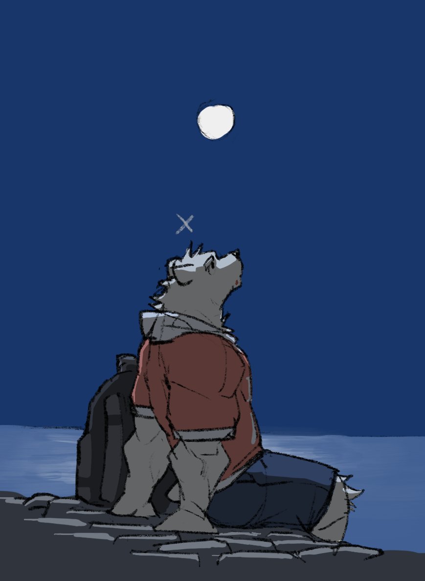 蘸血棕毛.DB tweet media