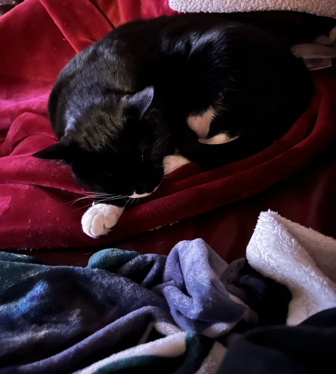 Gerry Ressler ❤️ Red tweet media