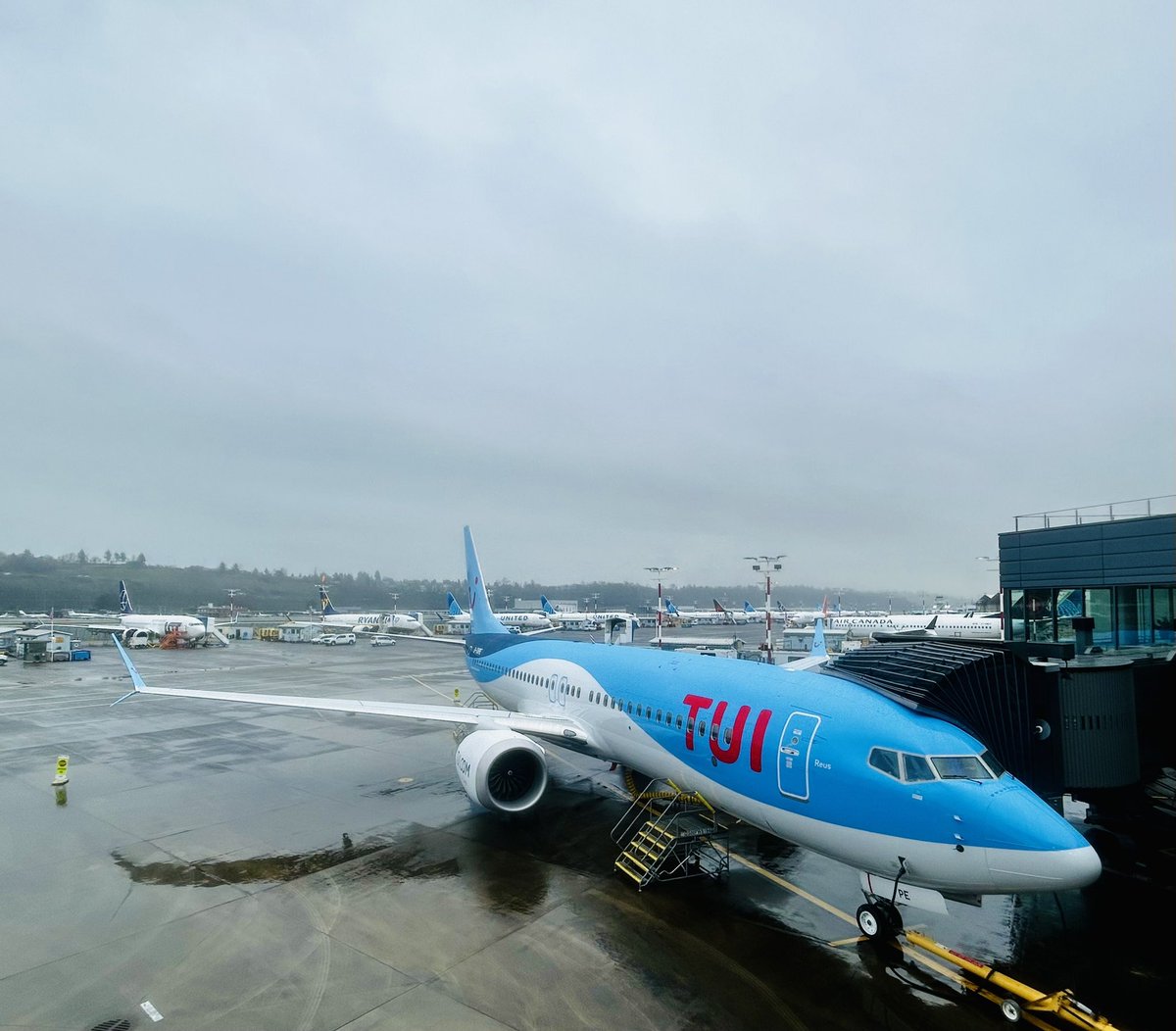 Kurt Hofmann tweet media