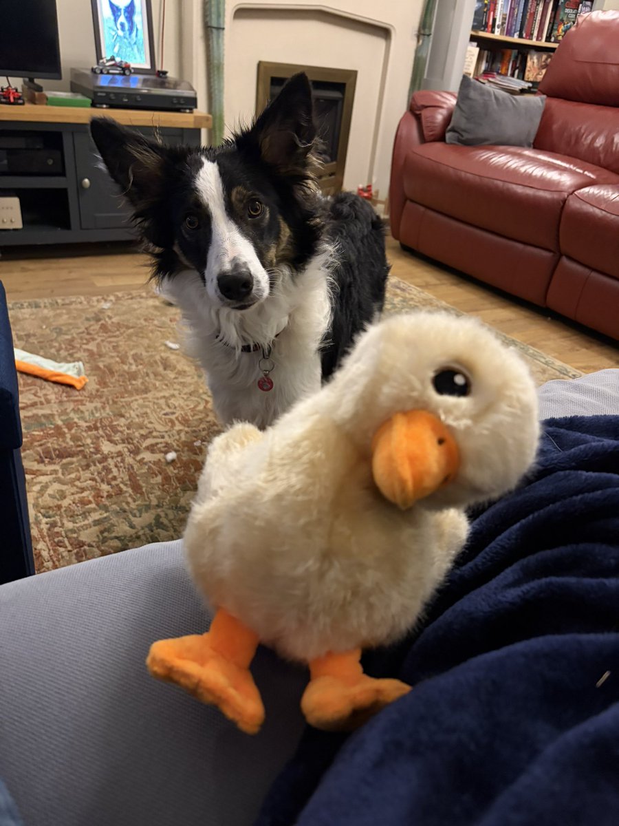 Puppy Bess and Auntie Kes tweet media