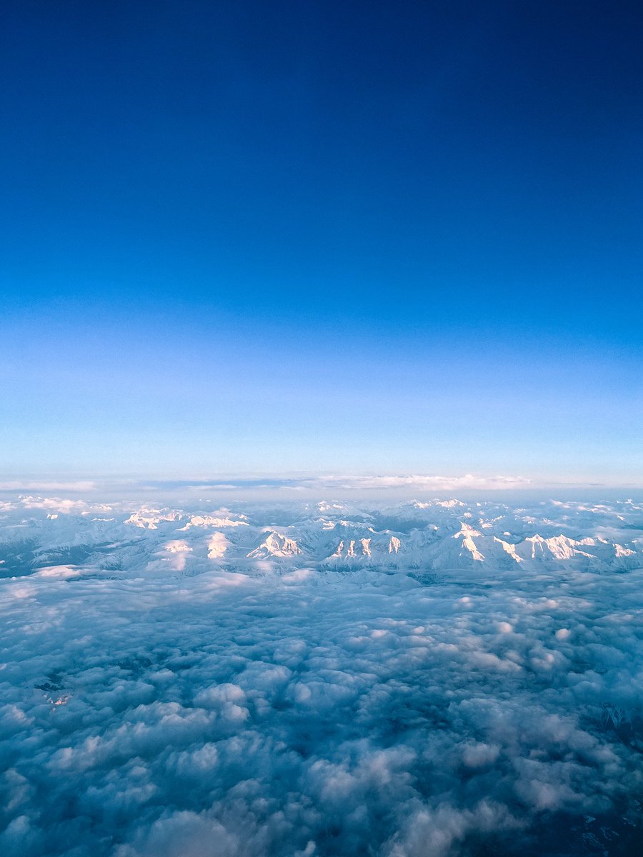 Iván Berrocal tweet media