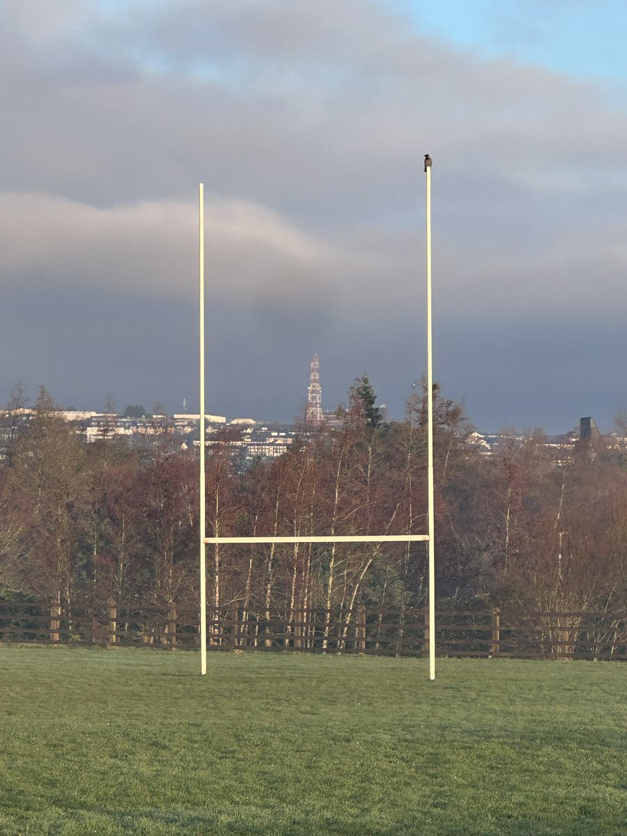 SaturdayRunner tweet media