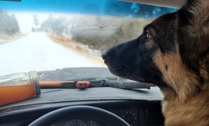 Nathan Collier tweet media