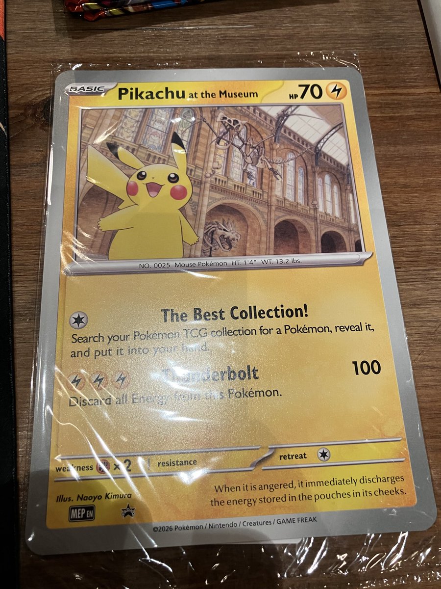 Finished top 4 at the Gloucester Cup with Zard Owl. Deck felt good most of the day. Drawing all fire energies is bad.

32 points to the lost zone plus packs