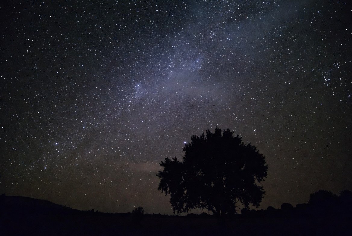 The stars are shining just for you tonight ✨
Close your eyes, let the moon hug you, and drift into peaceful dreams.
Good night, beautiful souls 😴❤️
#GoodNightVibes #XFamily