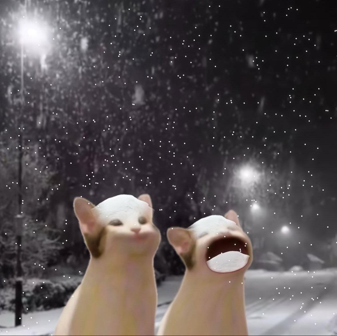 Miaw's tweet image. me and who