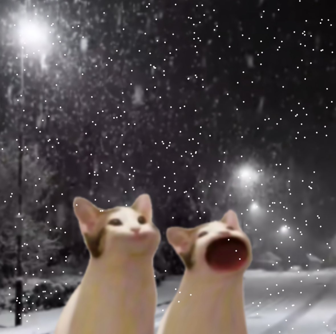 Miaw's tweet image. me and who