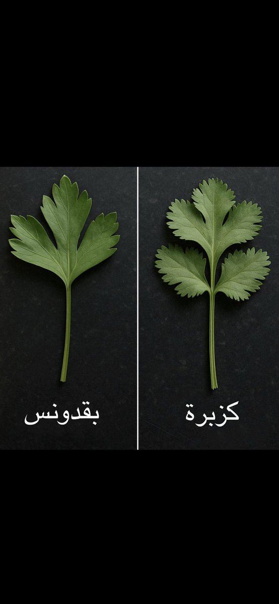 خضر الزهراني (@f9jp4) on Twitter photo 