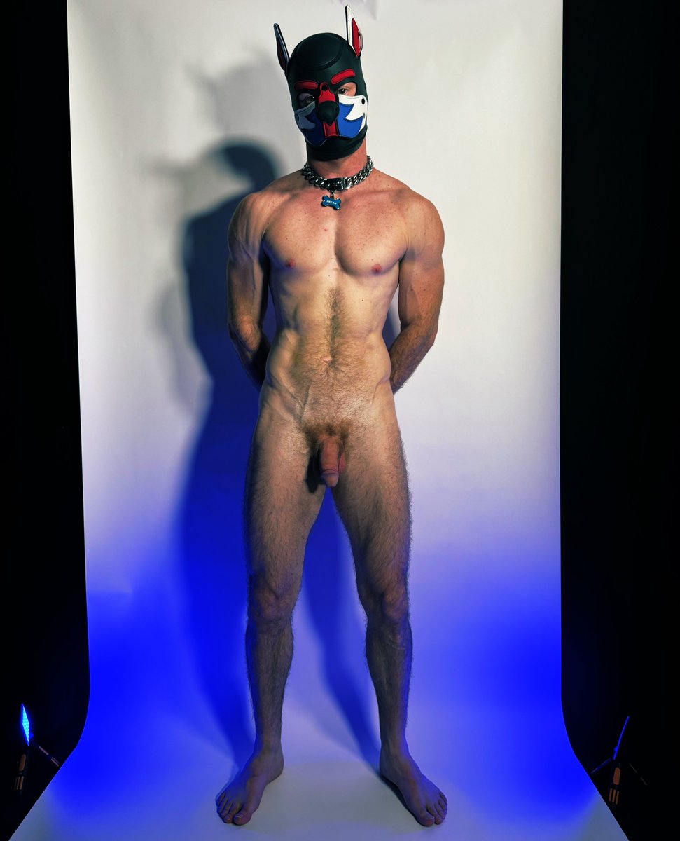 Pup_Dream tweet media