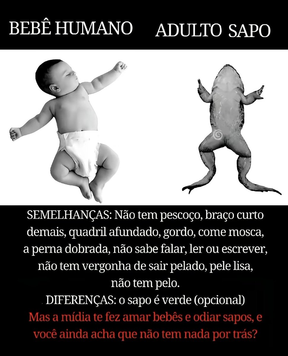chenfdkrl's tweet photo. É o que eu venho martelando faz tempo, quando eu for num podcast falando que sou mais louco que todos vocês eu serei ouvido https://t.co/jYEuP2pkDC