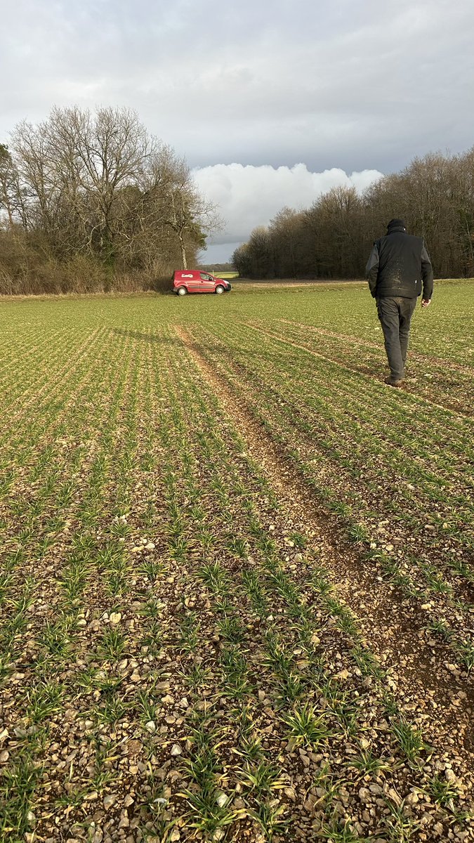 Olivier COSTE tweet media