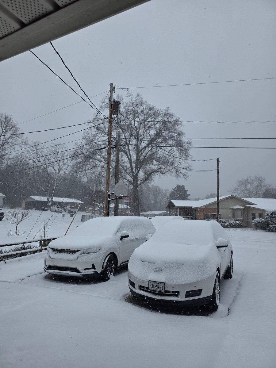 Dene Buric tweet media