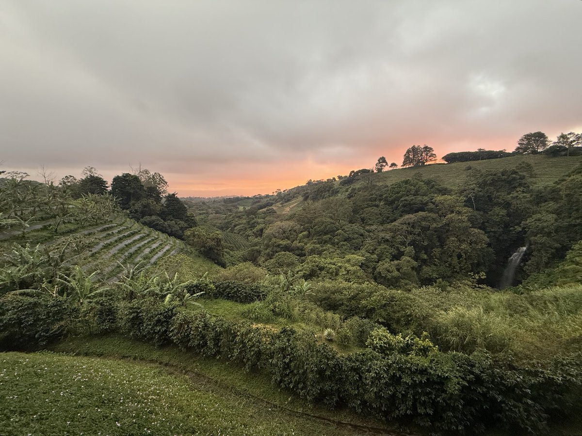 ashleyqm13's tweet photo. @Starbucks bucket list: travel to all the Starbucks reserve… Milan, Seattle, Costa Rica…4 more to go.. https://t.co/zlStwr9V4T