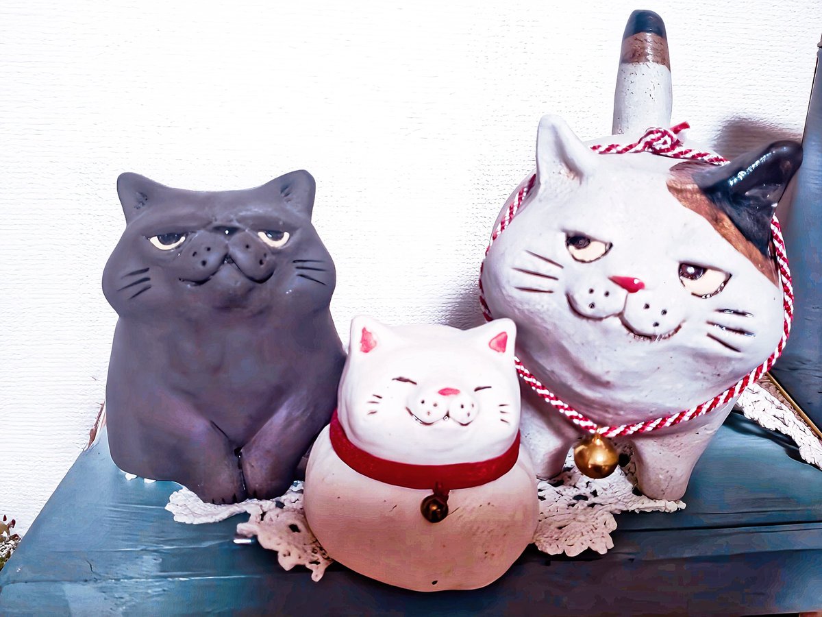 布施猫 (@c_a_takurofuse) / Posts / X