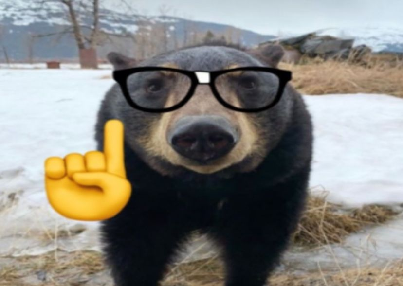 BearyDales's tweet image. 