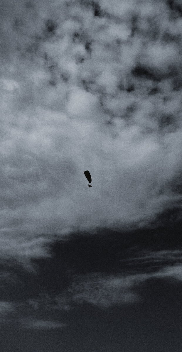 𝐀𝐋𝐈 | 𝐍𝐅𝐓 𝐏𝐇𝐎𝐓𝐎𝐆𝐑𝐀𝐏𝐇𝐄𝐑 tweet media