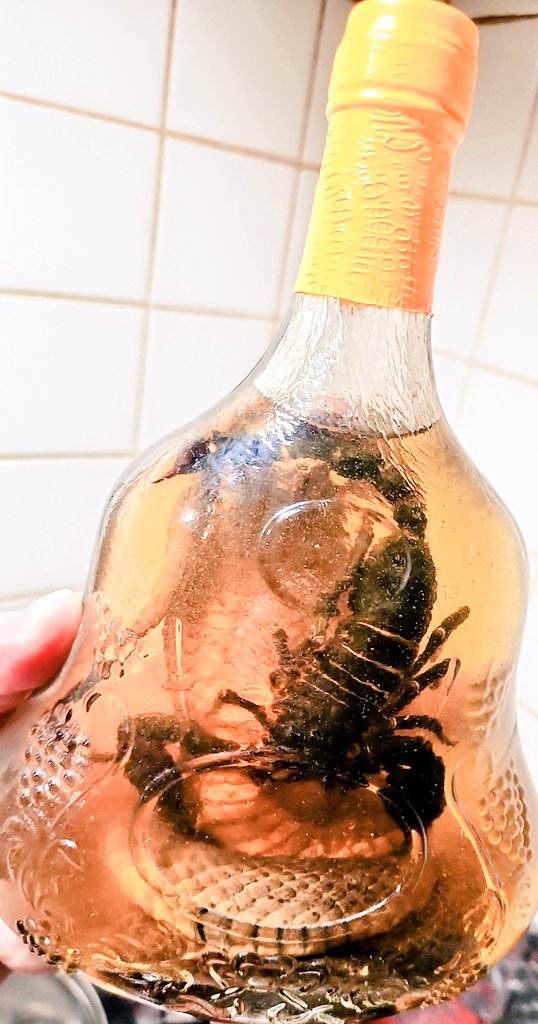コブラ＆蠍酒買いました エグいぐらい度数強いだが、、 喉焼けるーε= o